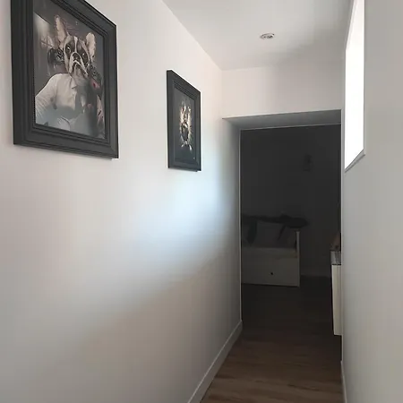 Le De Daisy * Saint-Come-du-Mont